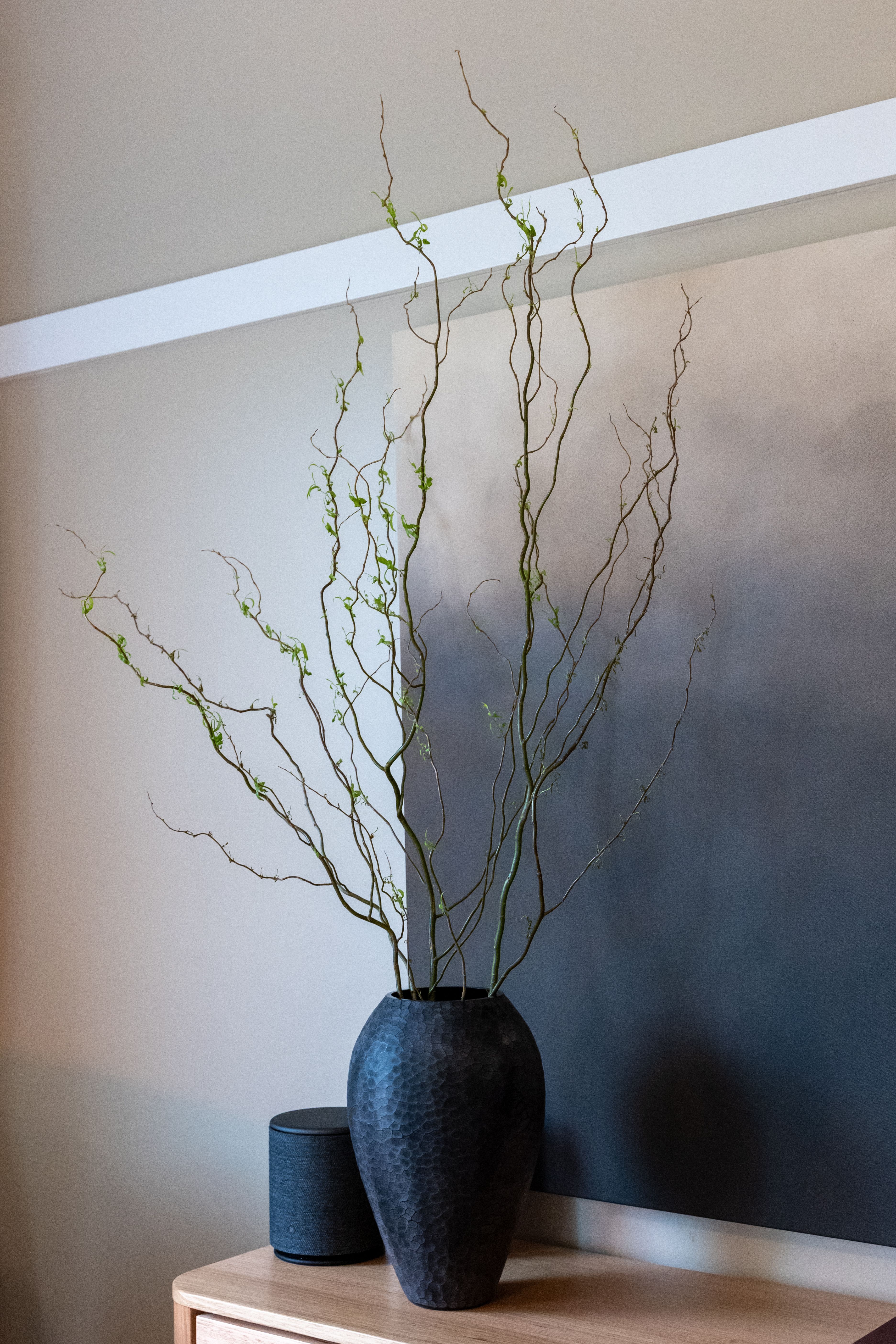 A warmly lit room with a beautiful dark vase, vibrant green leaves are shooting out